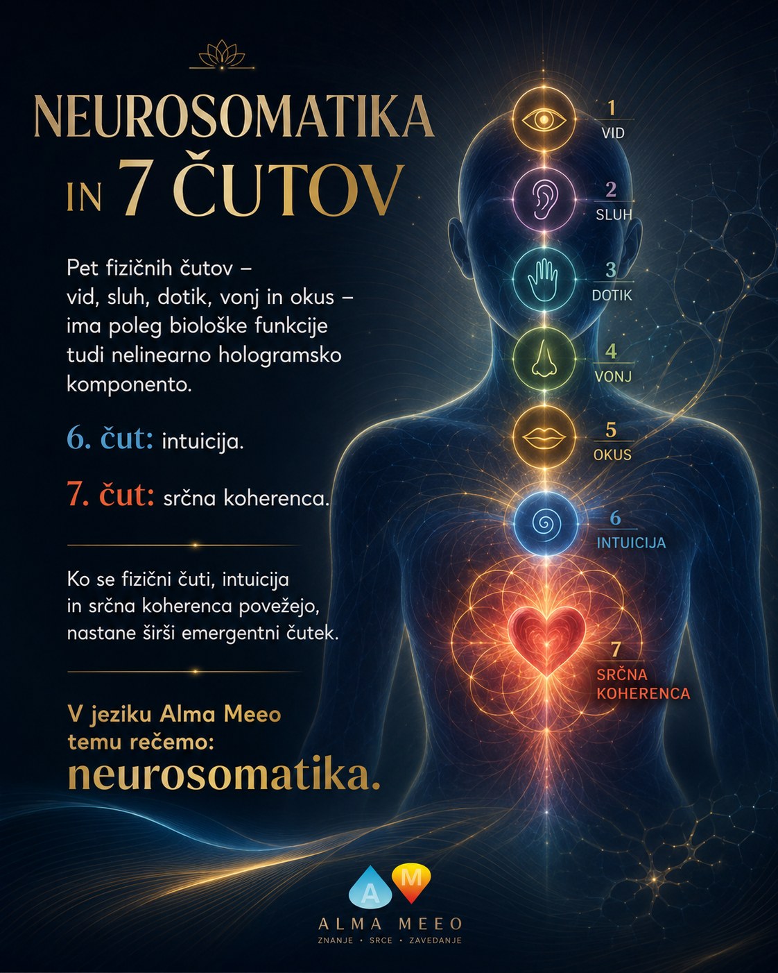 Neurosomatika in 7 čutov
